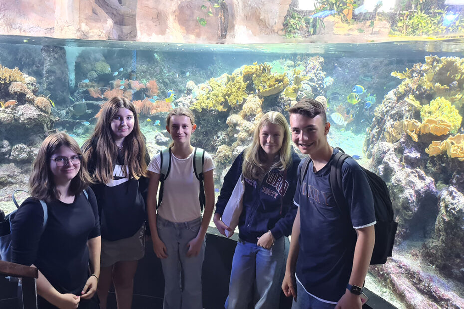 Acquario